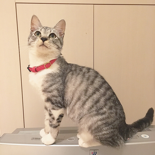 のりちゃん♡ご縁に恵まれました♡