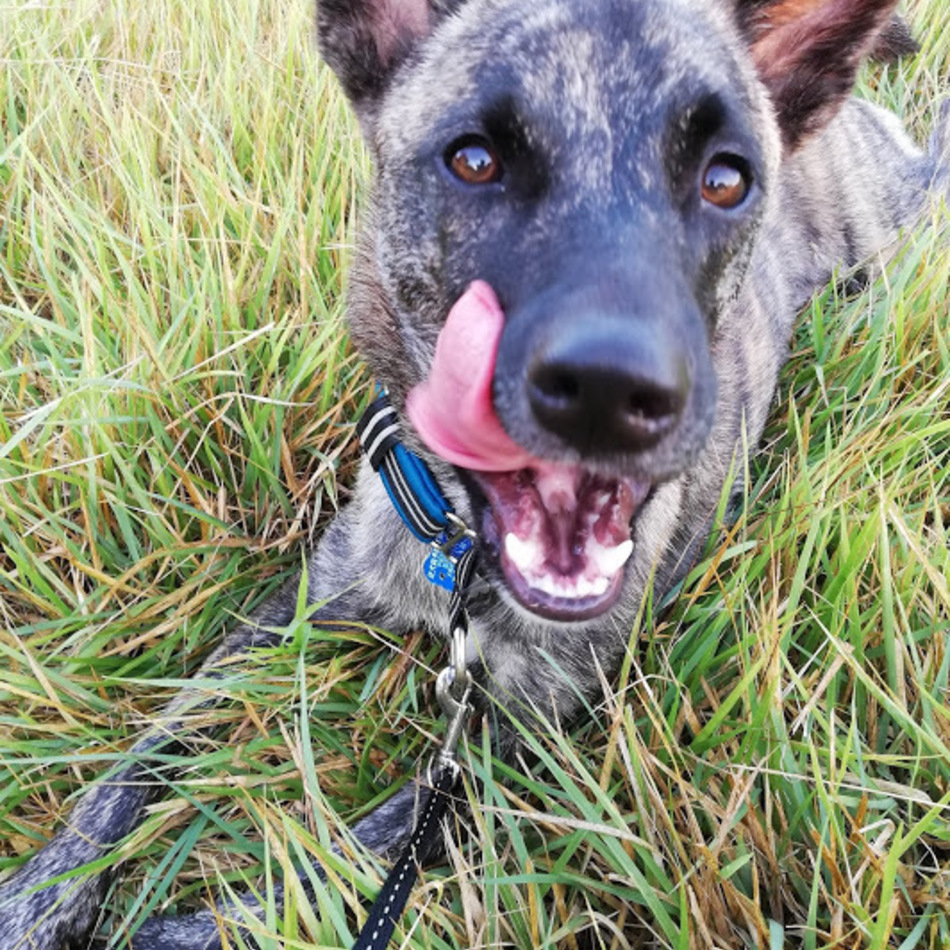 くうのカバー写真