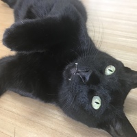 おん