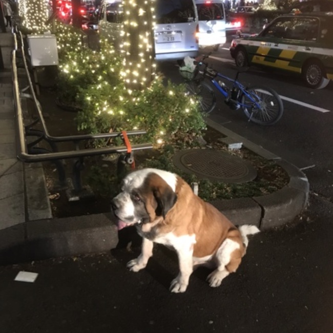 ｓａｍのカバー写真