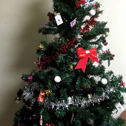 「クリスマスプレゼントに犬？猫？」サムネイル1