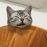 すず香パパ