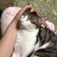まめ