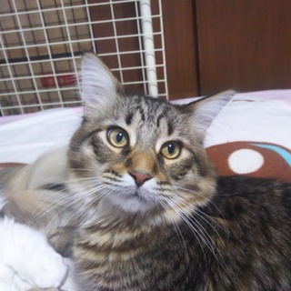 沢山のご応募ありがとうございましたm(_ _)m