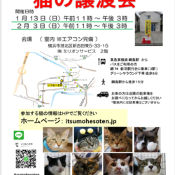 いつもへそ天　猫の譲渡会 サムネイル1