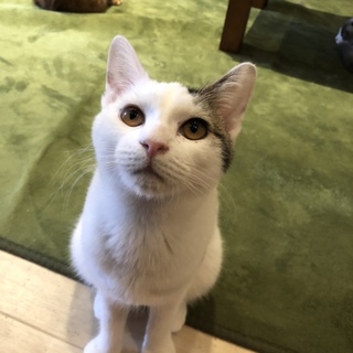 ストーカーのうたちゃん