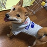 雨