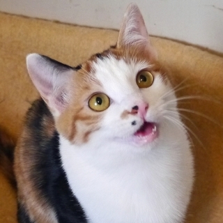 新たなご家族ができました♪