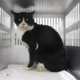 処分対象になります。収容期限1/4朝迄