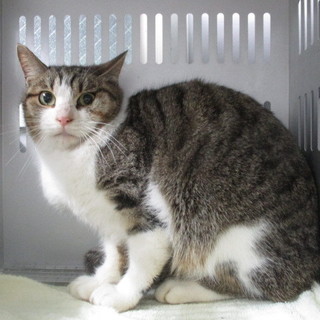 処分対象になります。収容期限1/4朝迄