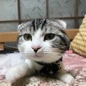 18’2’25生まれの男の子です