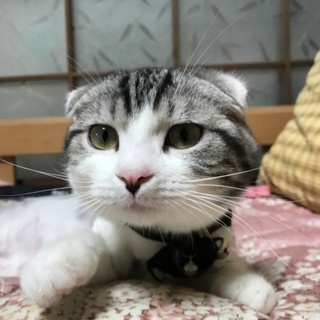 18’2’25生まれの男の子です