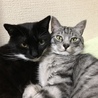 ぷにょまな