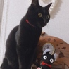 かんな