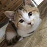 うに