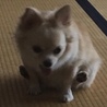 サトウヒロト