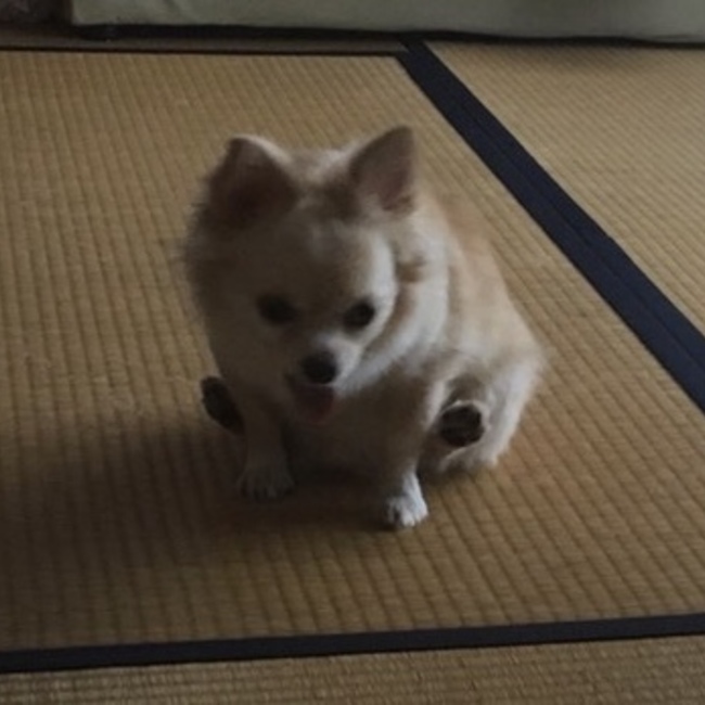サトウヒロトのカバー写真