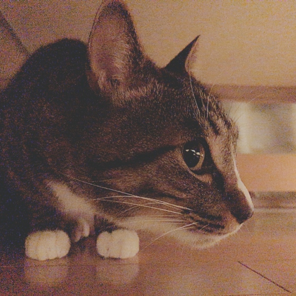 あるのカバー写真
