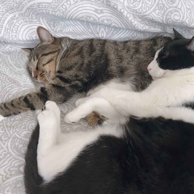 かな01のカバー写真