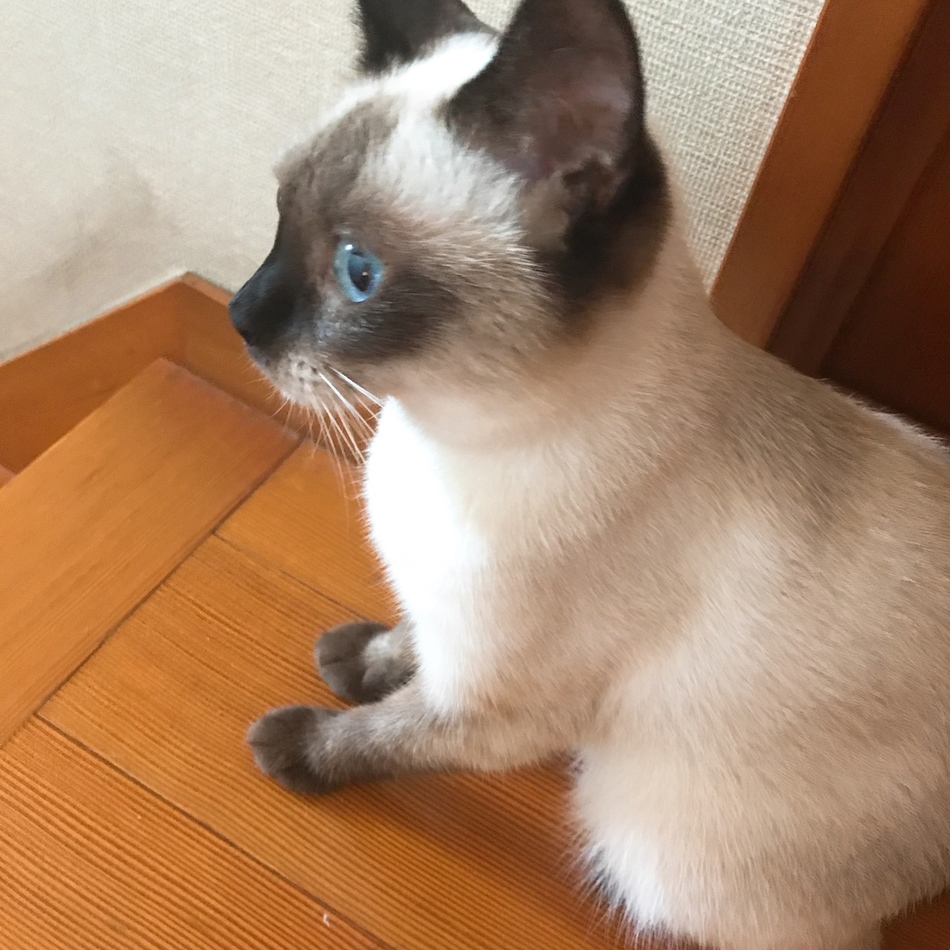 ウルのカバー写真