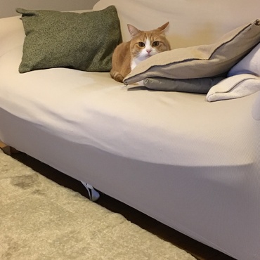 ねらってねらって