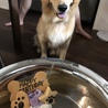 1歳になりました