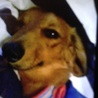 の写真
