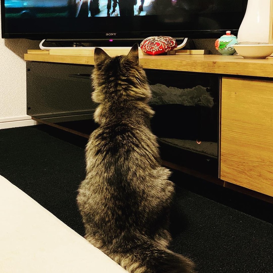 EMAのカバー写真