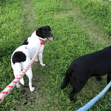 6歳になる幸です。宜しく