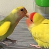 タカジュン