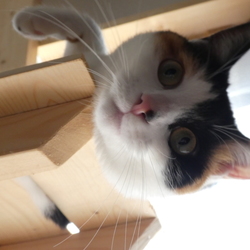 「年内最後のログ」サムネイル1