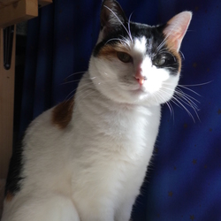 「年内最後のログ」サムネイル2