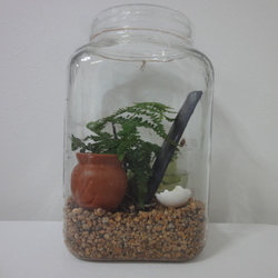 「「カンちゃん２世」孵化から6ヶ月（12/28）」サムネイル3