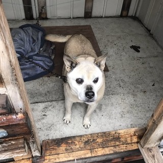 ありがとうございます。