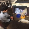リビングで飼っています。