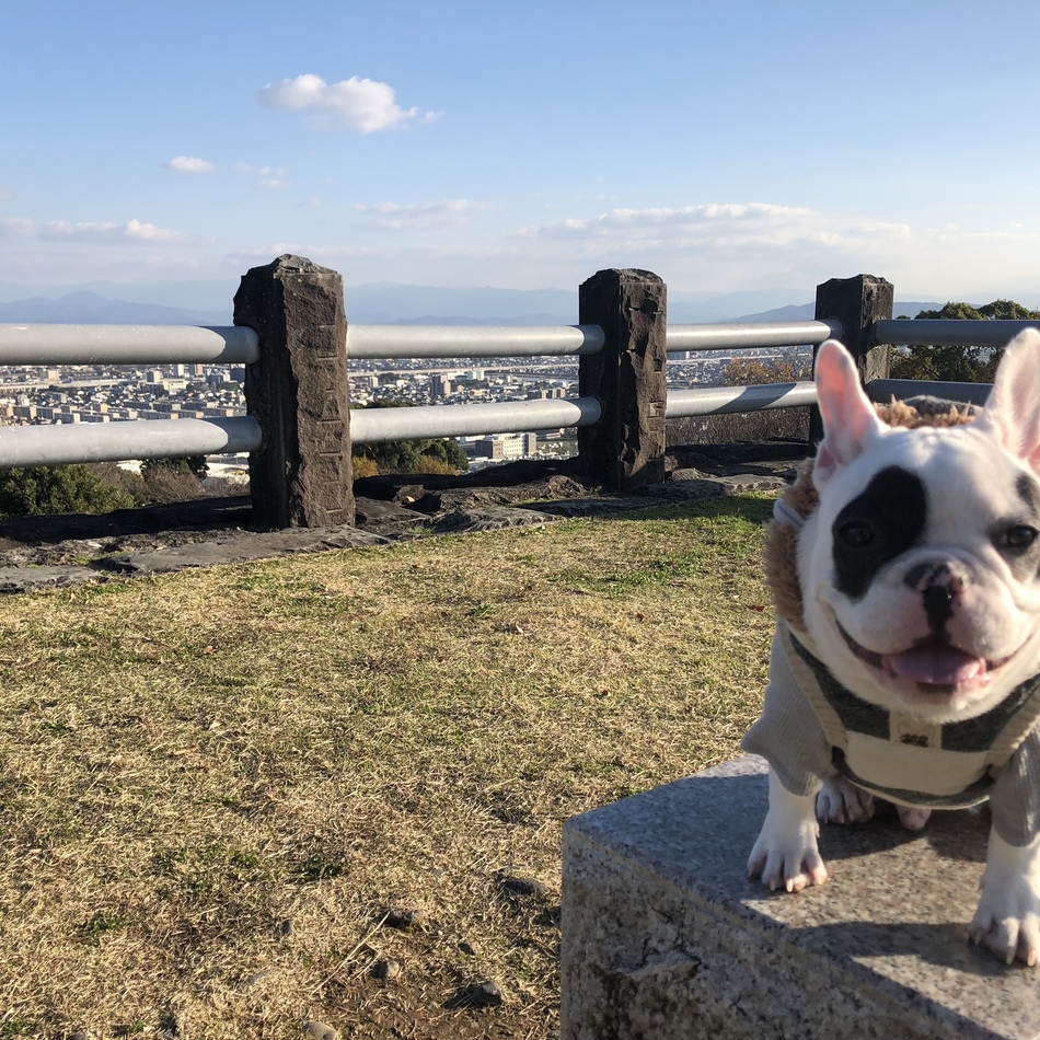 ぼぶのカバー写真
