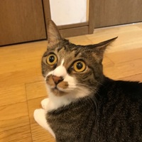 マー