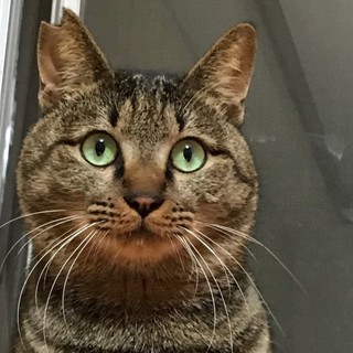 ６．７㌔甘え上手で抱っこと遊ぶのが大好きです。