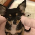 応募多数の為一時中止させていただきます。