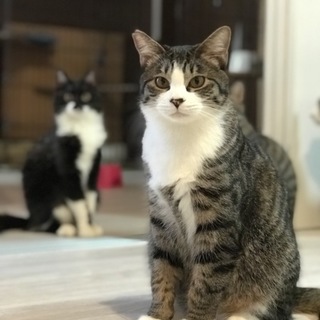 ハンサムで長男坊