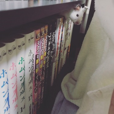 ちらっ
