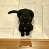 すっかりお兄ちゃんになりました！