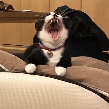 おとぼけグリさん。こちらも大きくなりました！