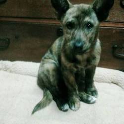 ネバーランドから！