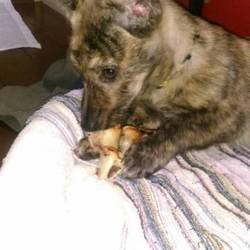 「ネバーランドから！」サムネイル2