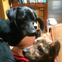 「ネバーランドから！」サムネイル3