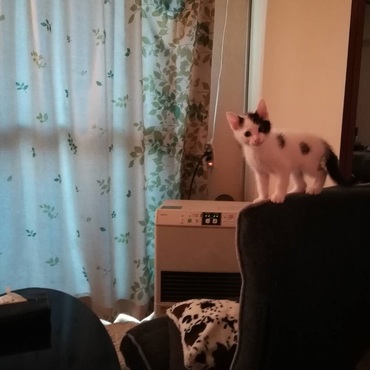 いたずら見つかっちゃった・・・