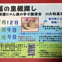 保護にゃん達の幸せ譲渡会in大和高田市