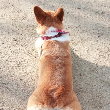 後ろ姿～後ろ足！！