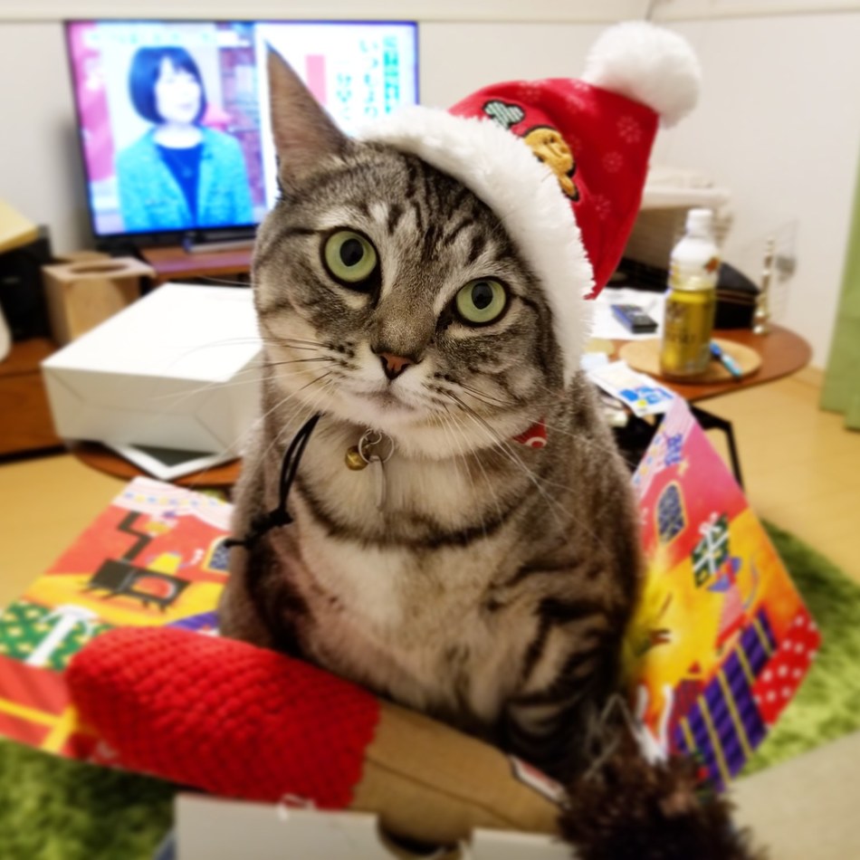 雪見のカバー写真